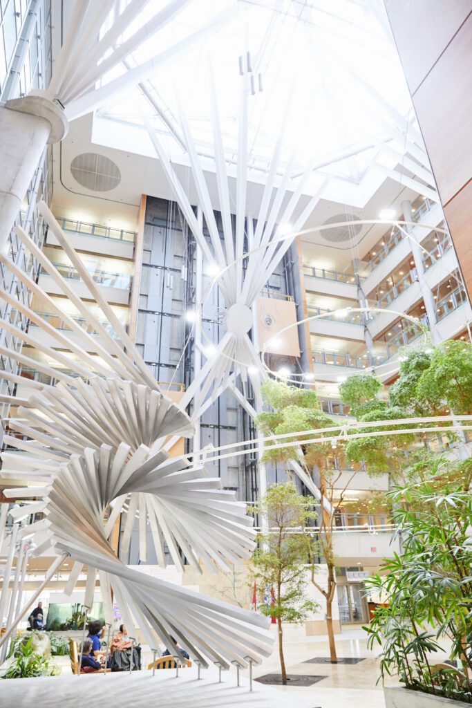 The Virtual Behavioural Medicine Program