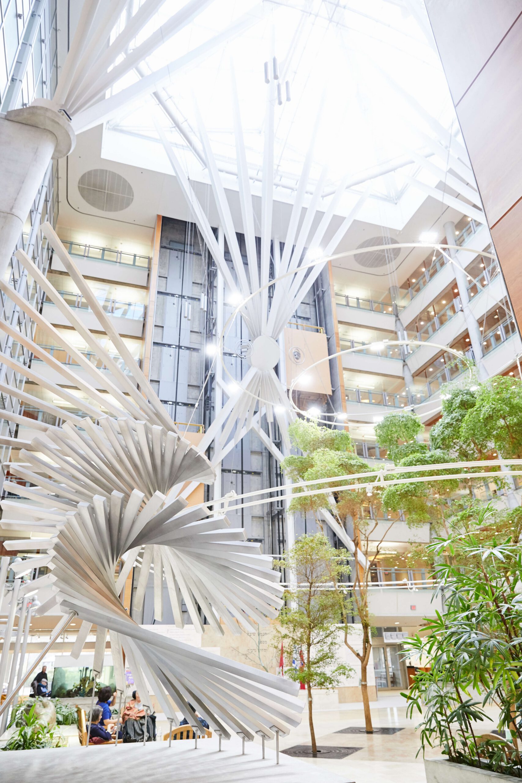 The Virtual Behavioural Medicine (VBM) Program