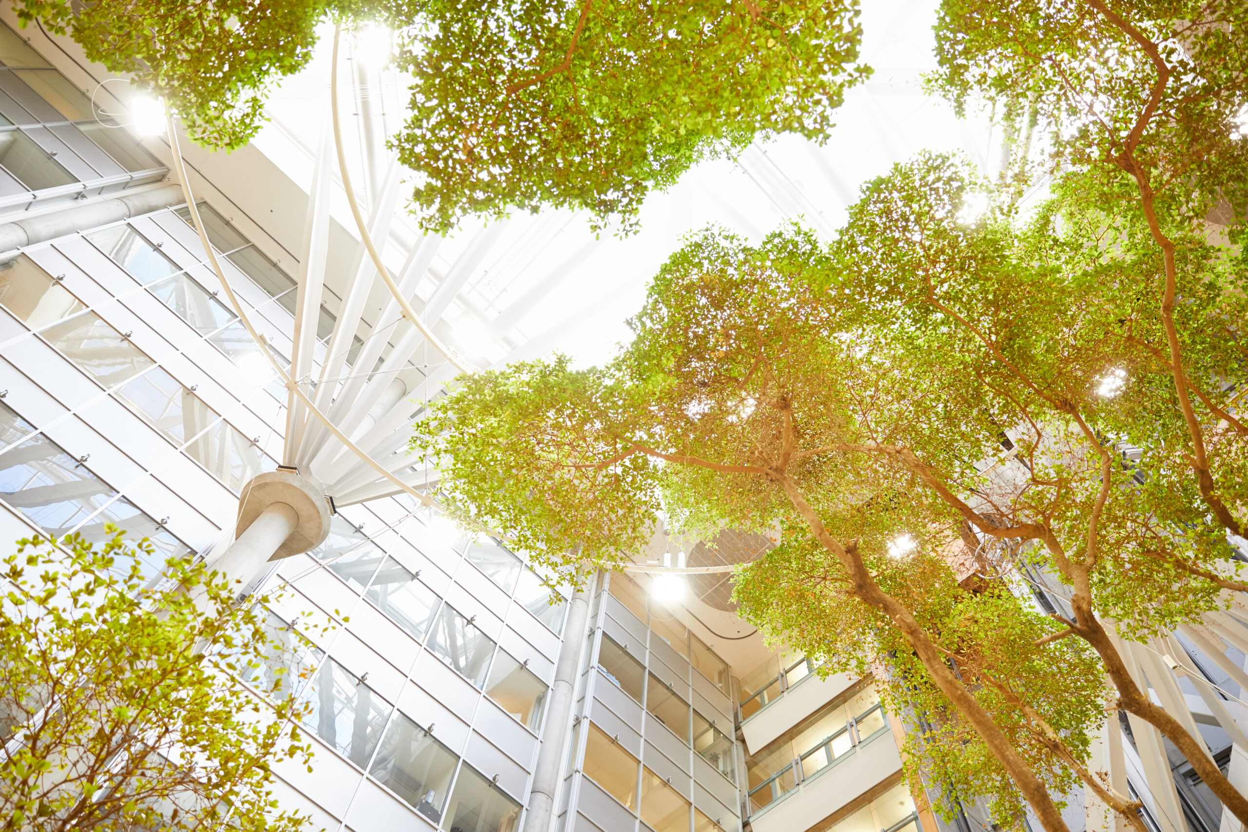 Ontario Centres for Learning, Research and Innovation in Long-Term Care