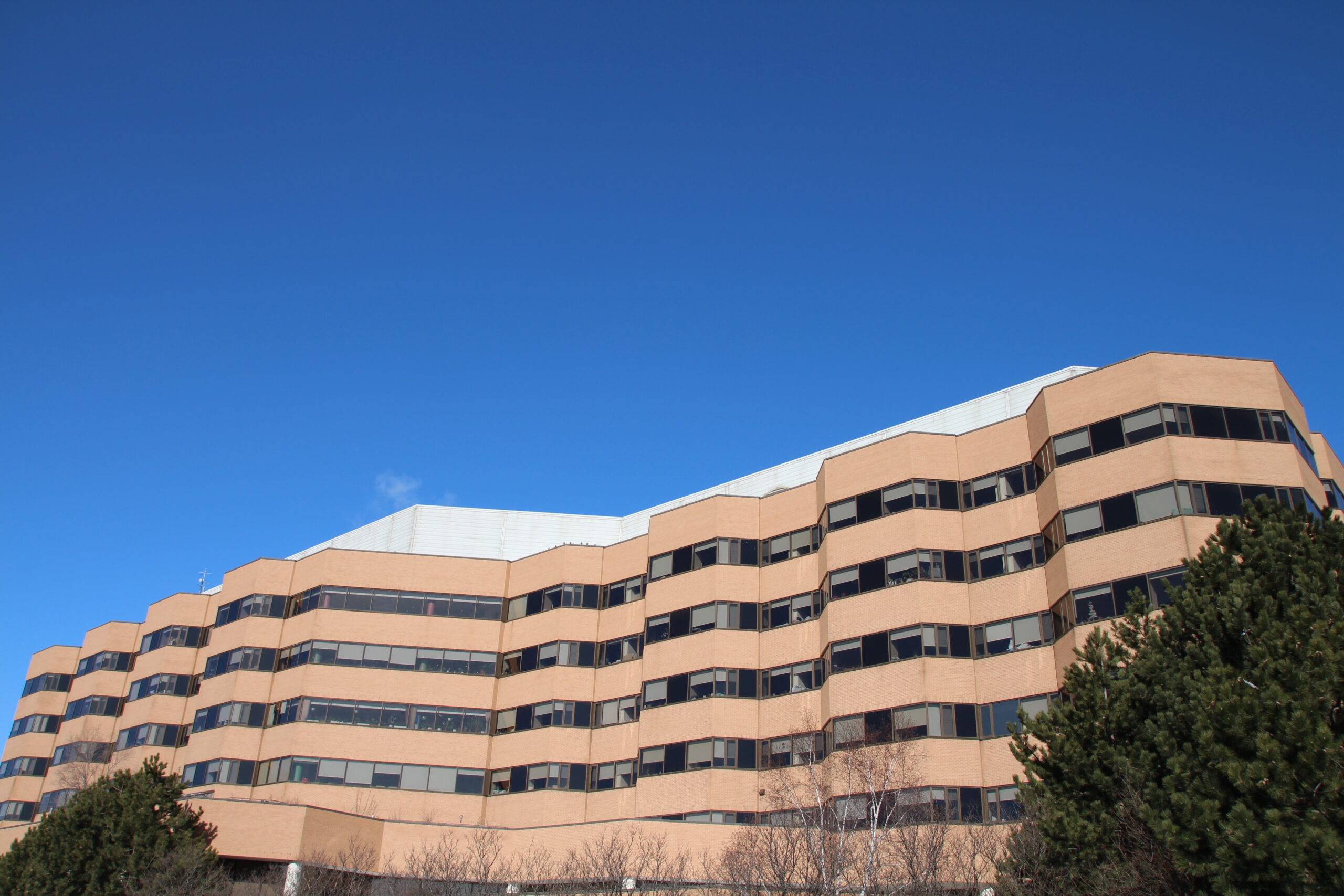 Mental Health Services 