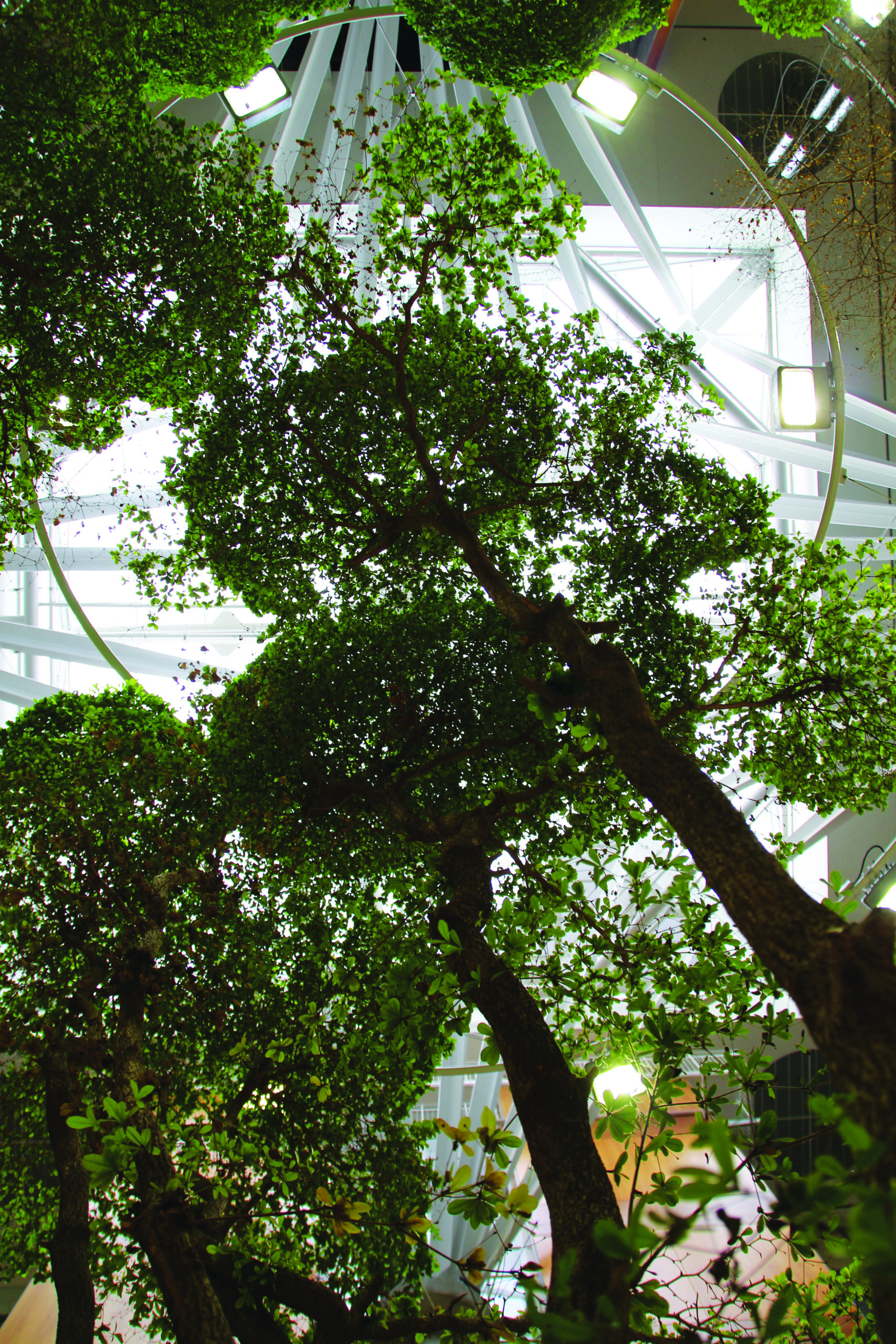 Simulation and Virtual Learning Project Highlights