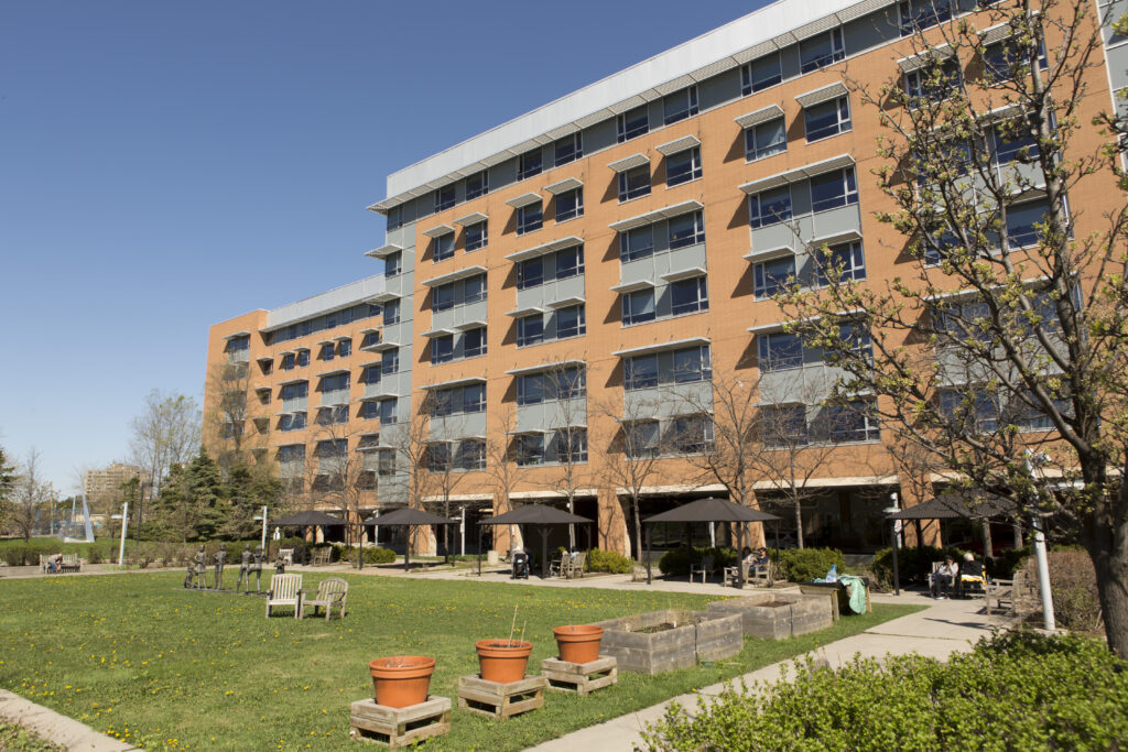 Behavioural Neurology